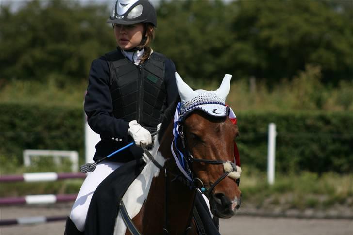 Spring i DSM rideklub den 21 juni 2009 billede 137