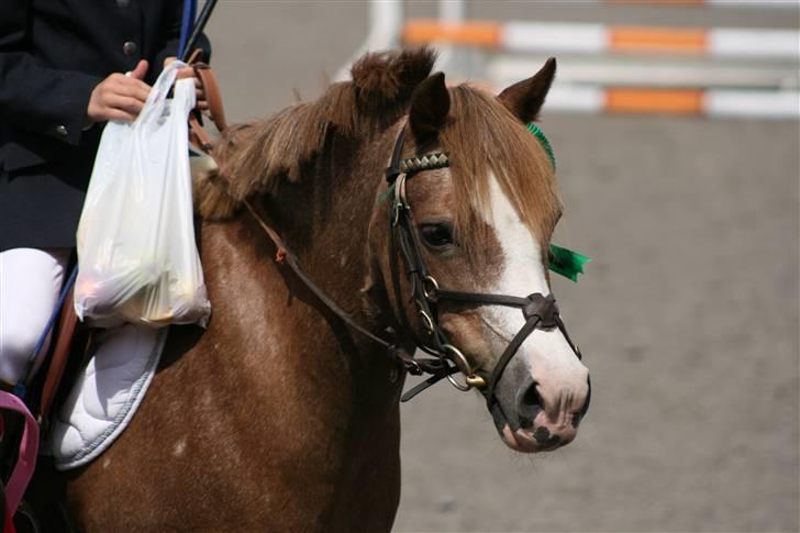 Spring i DSM rideklub den 21 juni 2009 billede 140