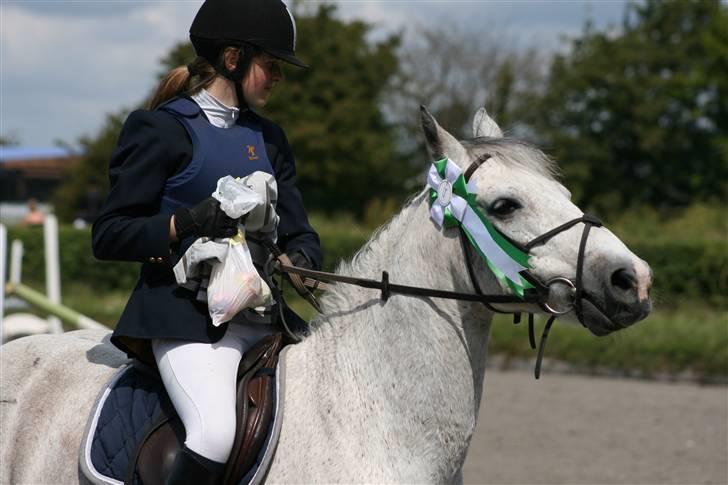 Spring i DSM rideklub den 21 juni 2009 billede 144