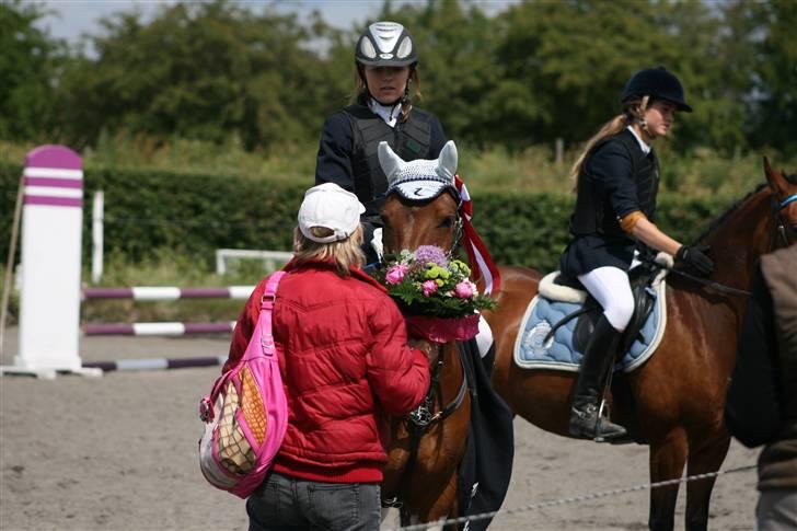 Spring i DSM rideklub den 21 juni 2009 billede 148