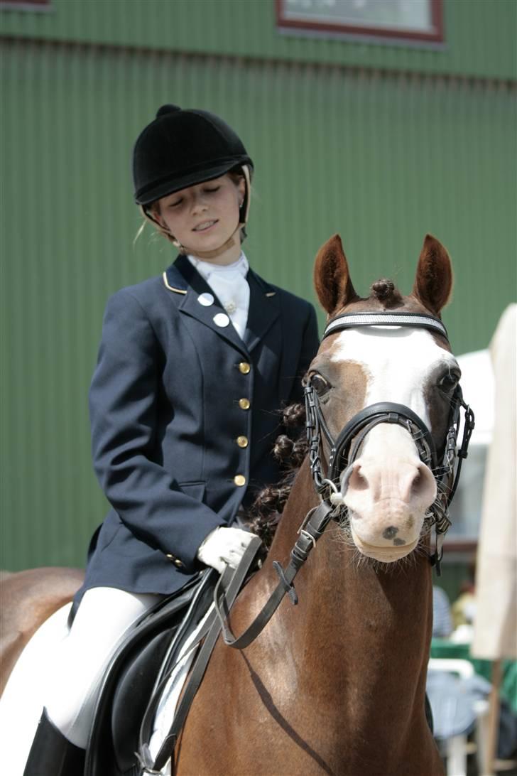 Rebecca Faurskov og Stendyssens Jappeloup (Første stævne) billede 3