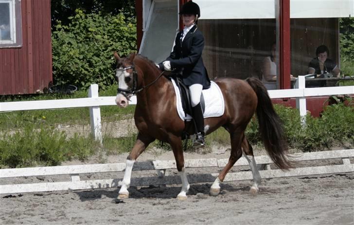 Rebecca Faurskov og Stendyssens Jappeloup (Første stævne) billede 8