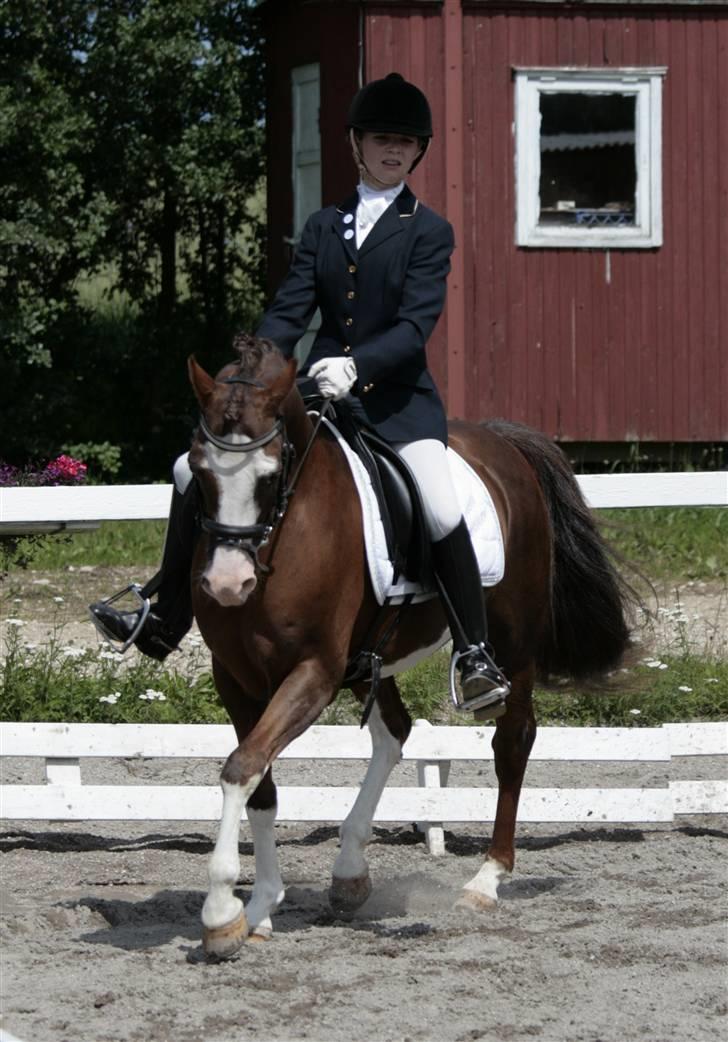 Rebecca Faurskov og Stendyssens Jappeloup (Første stævne) billede 11
