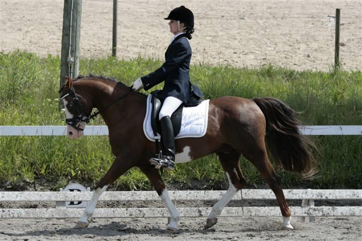Rebecca Faurskov og Stendyssens Jappeloup (Første stævne) billede 12