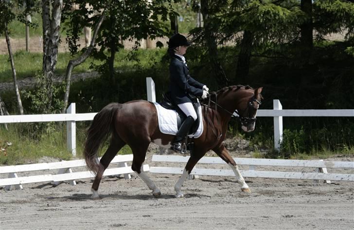 Rebecca Faurskov og Stendyssens Jappeloup (Første stævne) billede 13