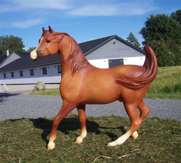 Breyer modelheste - Nu med nye billeder! - Copper - Araber vallak - nu distance hest billede 1