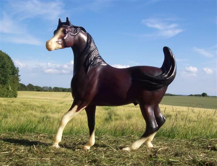 Breyer modelheste - Nu med nye billeder! - Best Choise - Araber vallak billede 10