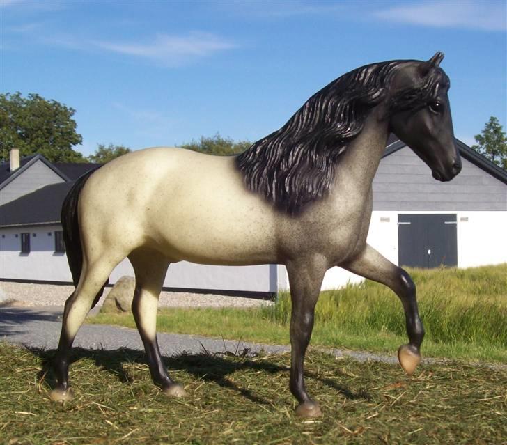 Breyer modelheste - Nu med nye billeder! - Blue Lotus - Paso Fino billede 13