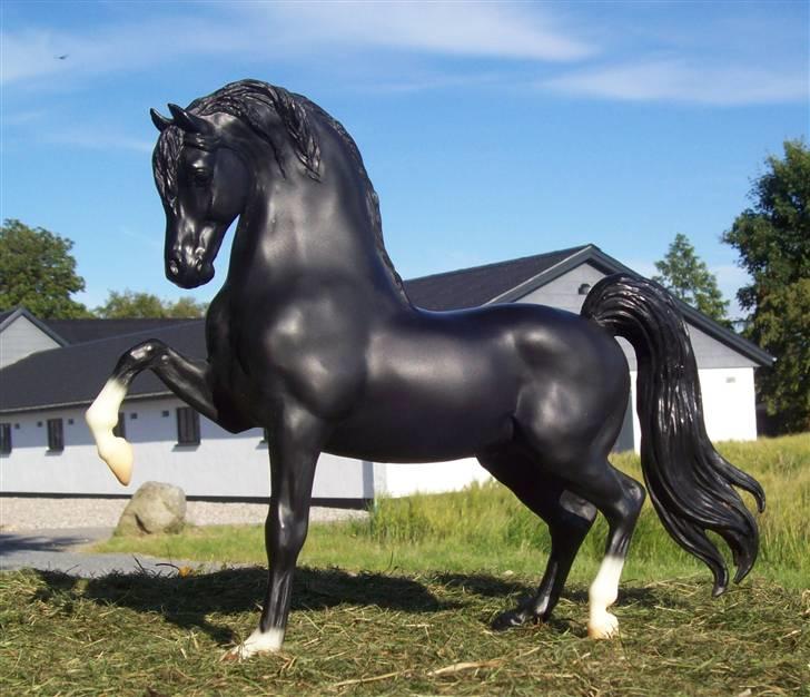 Breyer modelheste - Nu med nye billeder! - Sheridan - Morgan hingst billede 15
