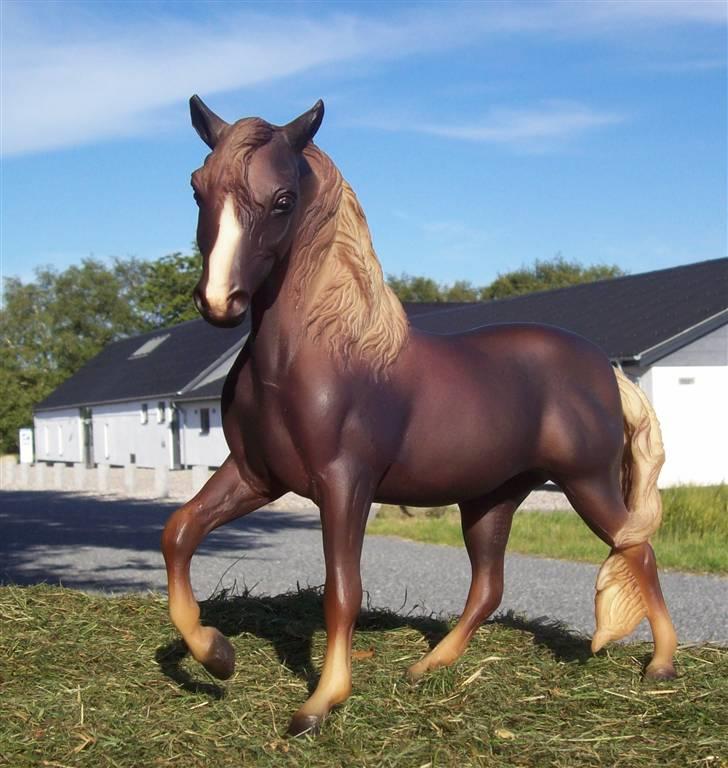 Breyer modelheste - Nu med nye billeder! - Mystery girl - Morgan hoppe billede 16