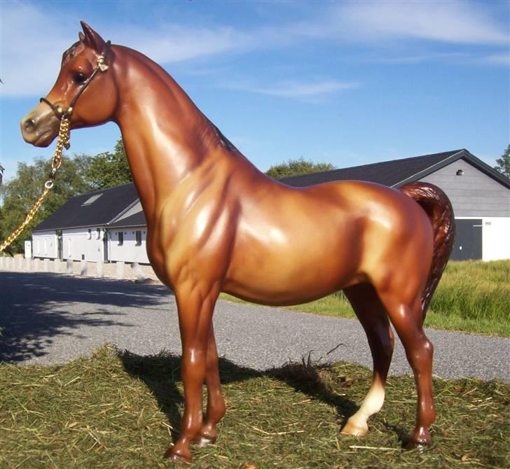 Breyer modelheste - Nu med nye billeder! - Galena - Araber hoppe billede 17