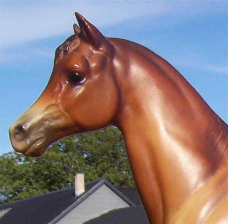 Breyer modelheste - Nu med nye billeder! - Galena - Araber hoppe billede 18