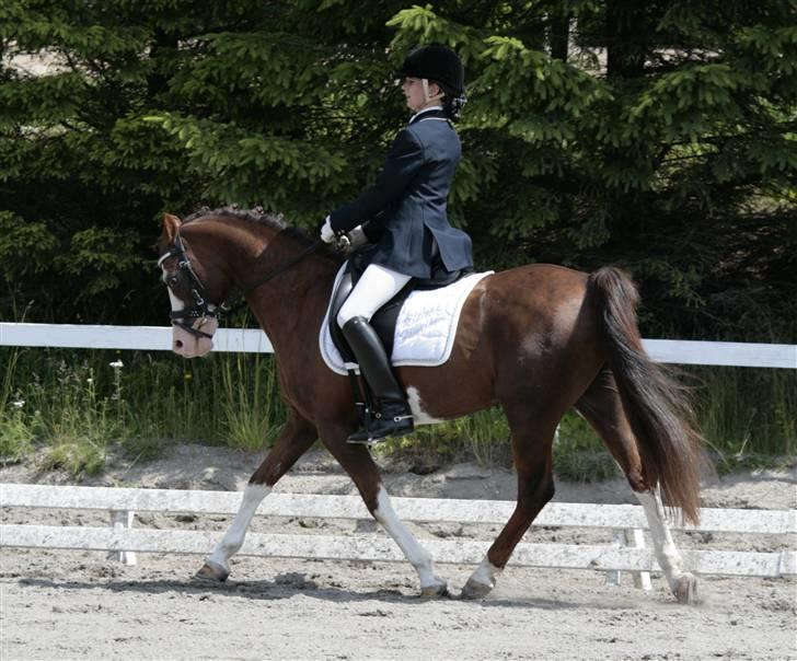 Rebecca Faurskov og Stendyssens Jappeloup (Første stævne) billede 14