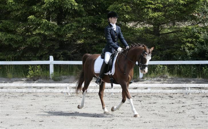 Rebecca Faurskov og Stendyssens Jappeloup (Første stævne) billede 17