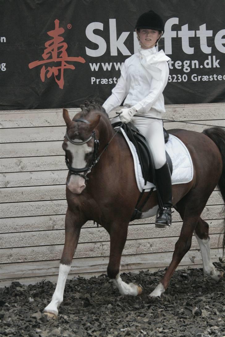 Rebecca Faurskov og Stendyssens Jappeloup (Første stævne) billede 20