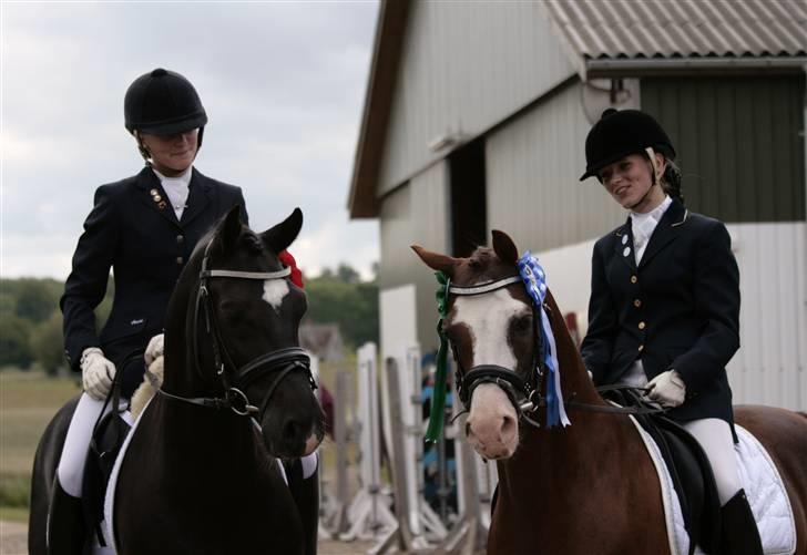 Rebecca Faurskov og Stendyssens Jappeloup (Første stævne) billede 23