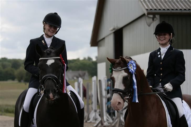 Rebecca Faurskov og Stendyssens Jappeloup (Første stævne) billede 26