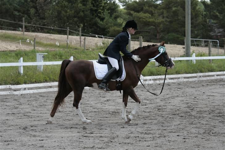 Rebecca Faurskov og Stendyssens Jappeloup (Første stævne) billede 27