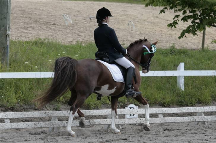 Rebecca Faurskov og Stendyssens Jappeloup (Første stævne) billede 28