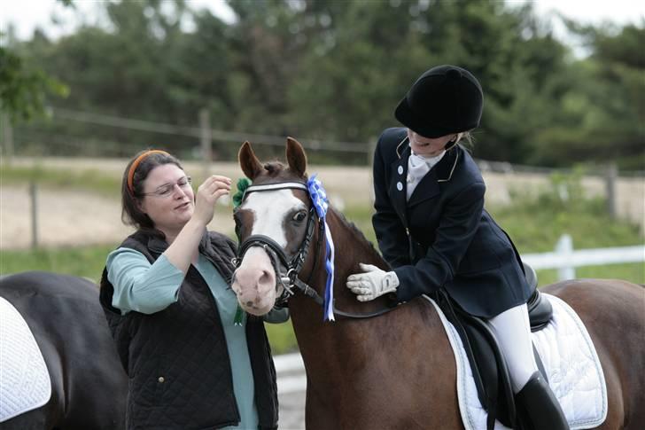 Rebecca Faurskov og Stendyssens Jappeloup (Første stævne) billede 29