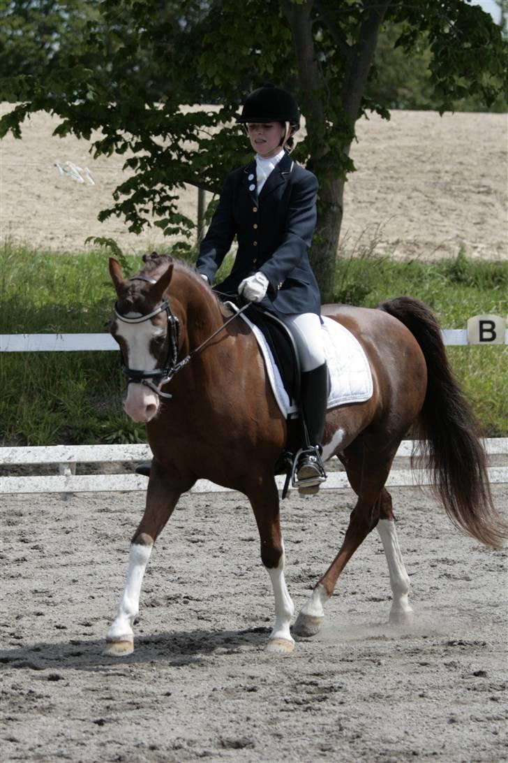 Rebecca Faurskov og Stendyssens Jappeloup (Første stævne) billede 31