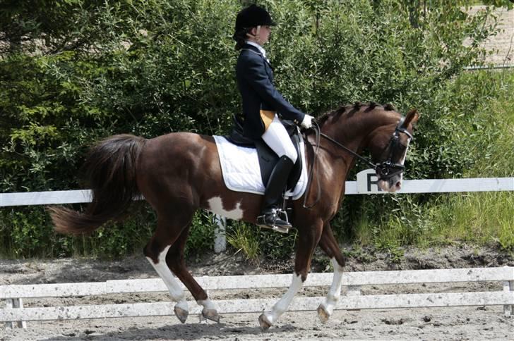 Rebecca Faurskov og Stendyssens Jappeloup (Første stævne) billede 32