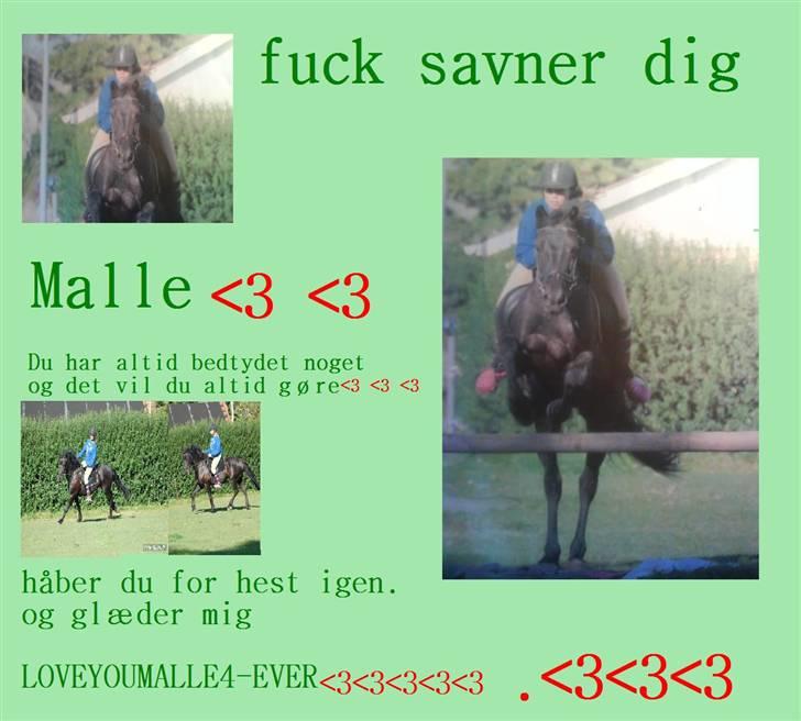 Hej laver billeder til jer :D er de pæne? - 3. malle billede 3