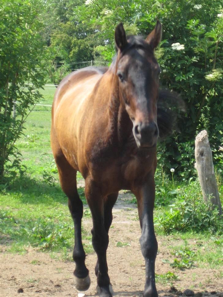 Store vaskedag billede 6