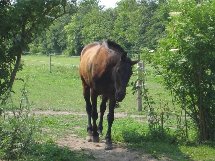 Store vaskedag - Er jeg ikke sød mor??? billede 5