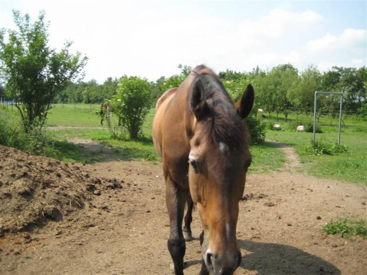 Store vaskedag billede 2