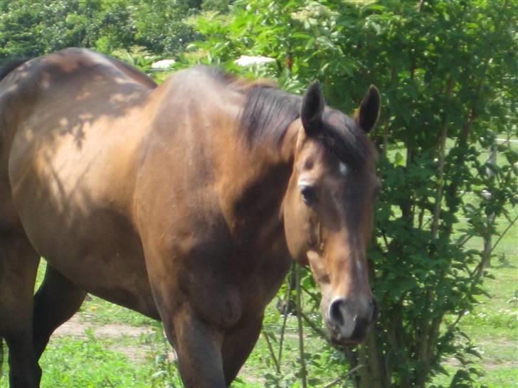 Store vaskedag billede 3