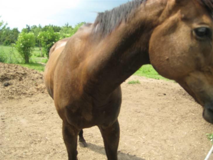 Store vaskedag - Og her er så takken for vaskningen - skønne dreng billede 15