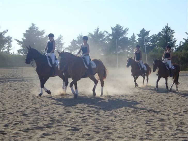 Lidt billeder af Kvardrille holdet :D - Opvisningen :D billede 1