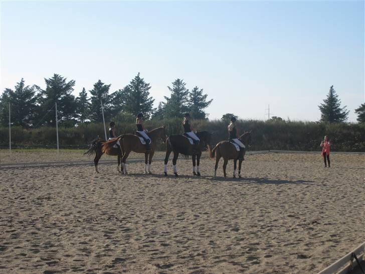 Lidt billeder af Kvardrille holdet :D - Så er vi færdige, så skulle der tages billede :D billede 4