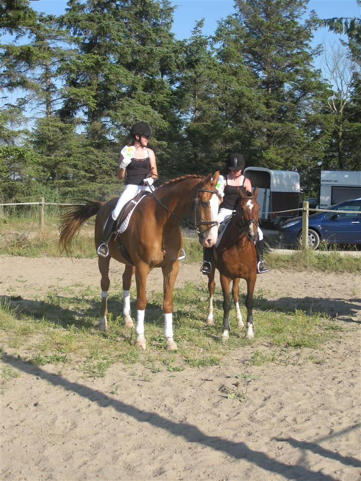 Lidt billeder af Kvardrille holdet :D - Yesser, mig, muskas og maiken :D billede 5