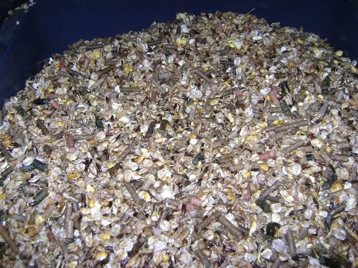 Herregårdsferie med Fabi billede 1