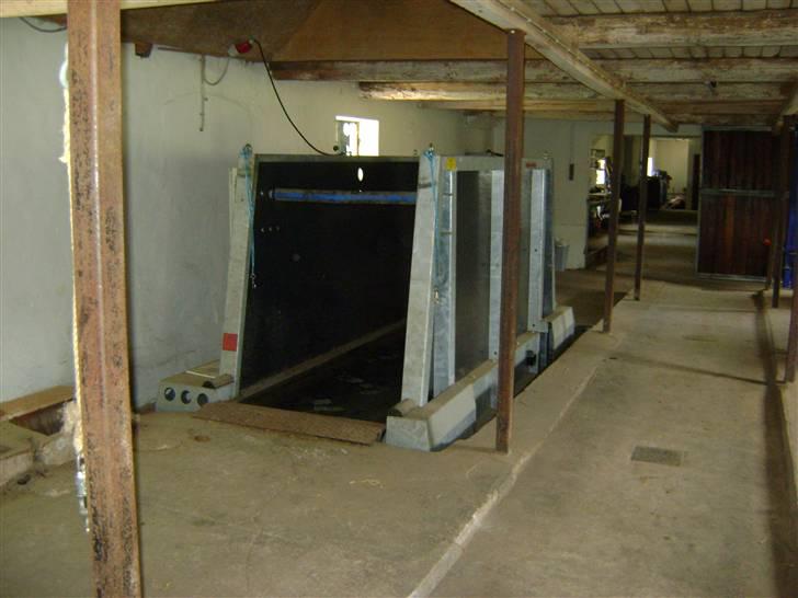 Herregårdsferie med Fabi billede 2