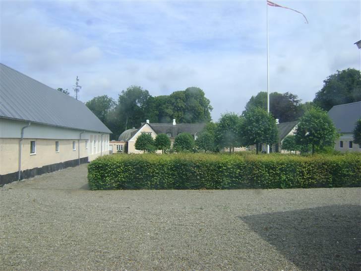 Herregårdsferie med Fabi billede 5