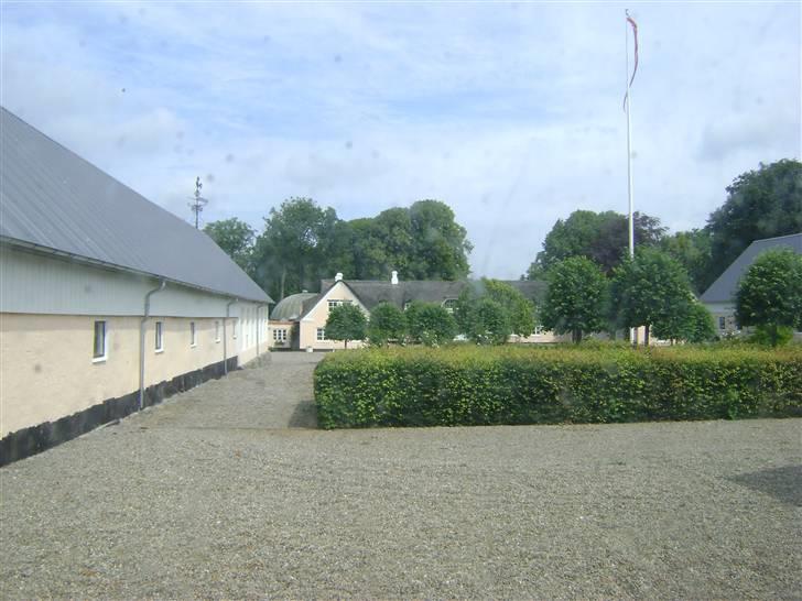 Herregårdsferie med Fabi billede 6