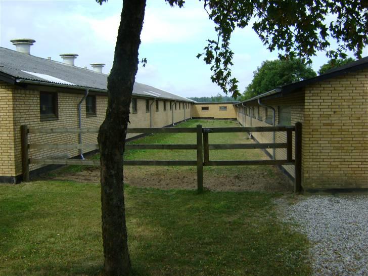 Herregårdsferie med Fabi billede 7