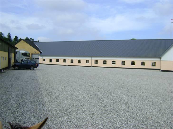 Herregårdsferie med Fabi billede 8