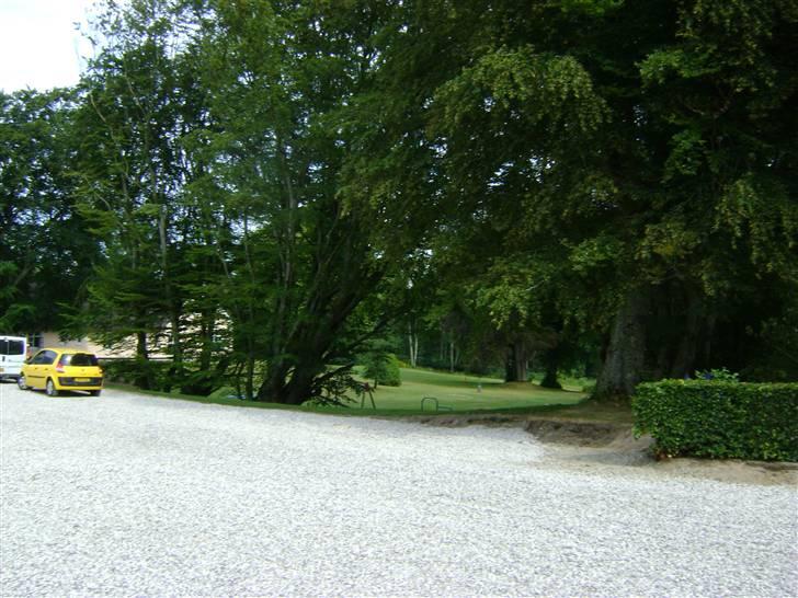 Herregårdsferie med Fabi billede 9