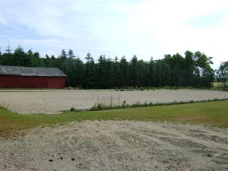 Herregårdsferie med Fabi billede 10