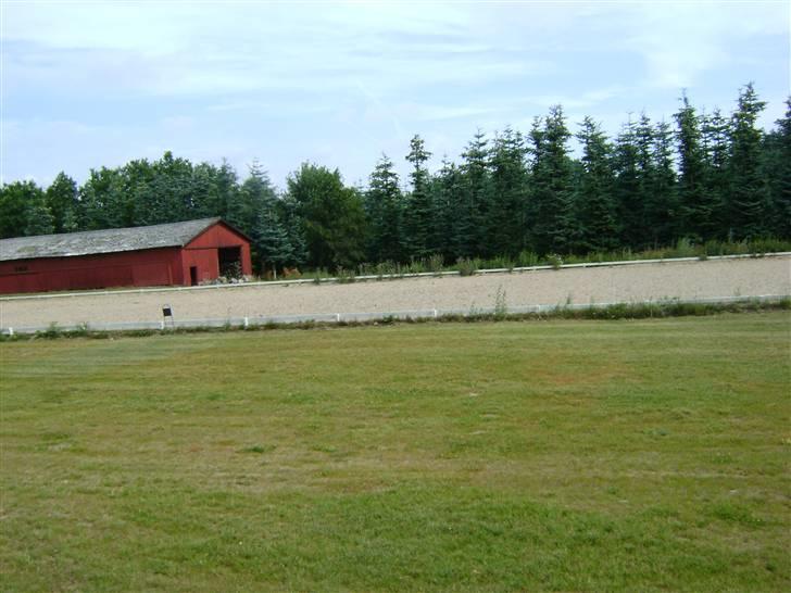 Herregårdsferie med Fabi billede 11