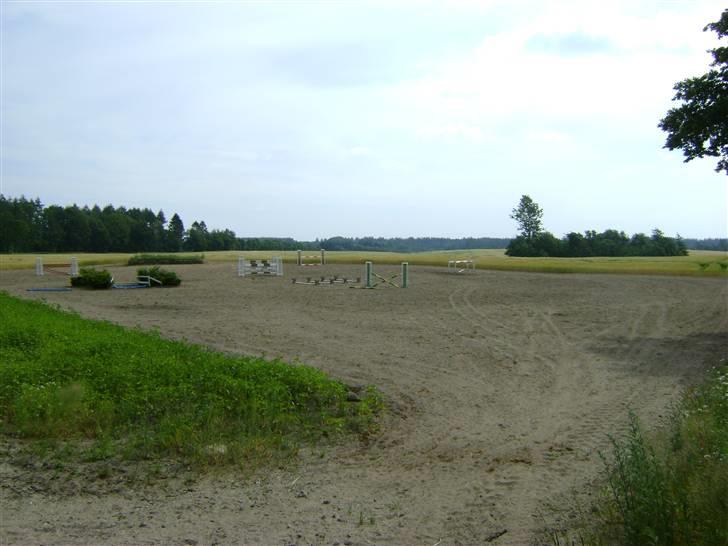 Herregårdsferie med Fabi billede 12