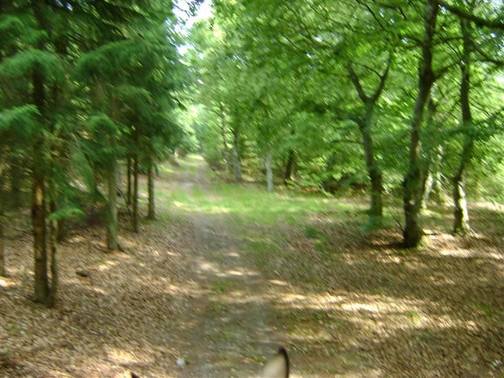 Herregårdsferie med Fabi billede 17