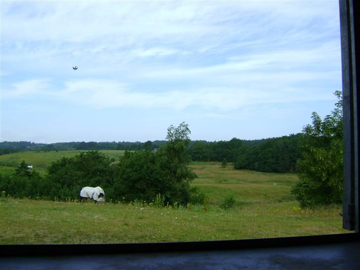 Herregårdsferie med Fabi billede 20