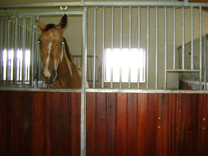 Herregårdsferie med Fabi billede 22