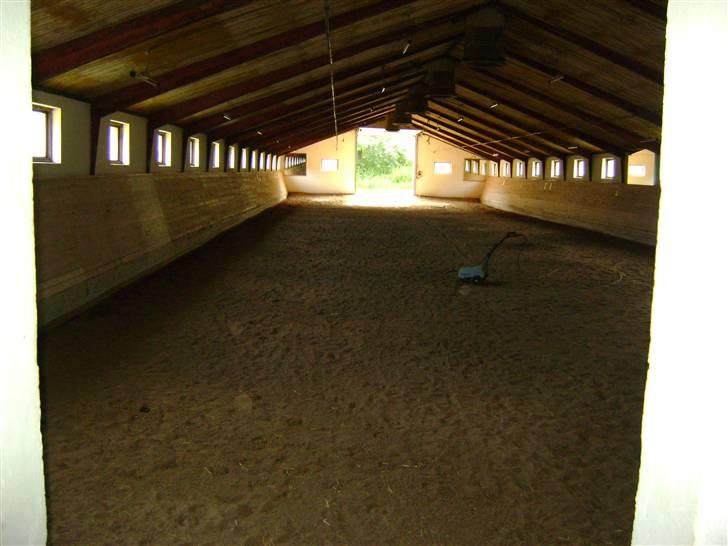 Herregårdsferie med Fabi billede 24