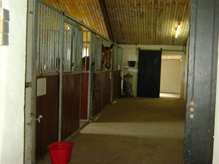 Herregårdsferie med Fabi billede 25